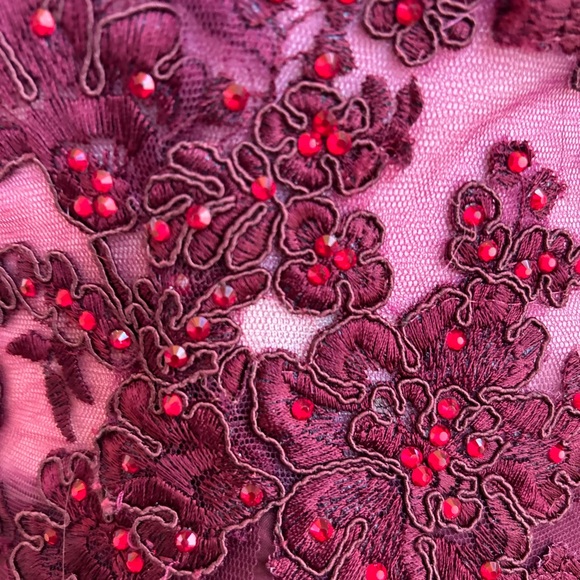 Gorgeous Maroon Prom Dress - Picture 9 of 13